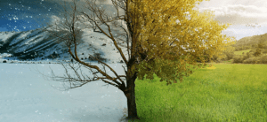 290.Seasons-Are-Changing_870x400_1-870x400